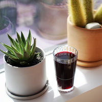 Side view of Oxford Bar 13.35 oz. Beverage Drinking Glasses (Set of 6)