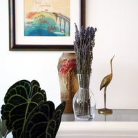 Side view of Ypsilon 36.5 oz. Wine Carafe (Set of 6)