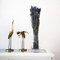 Side view of Ypsilon 36.5 oz. Wine Carafe (Set of 6)