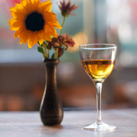 Side view of Bartender 5.25 oz. Novecento Nick & Nora Cocktail Glasses (Set of 4)