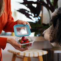 Side view of Frigoverre Future 14.25 oz. Square Stackable Food Storage Container (Set of 12)