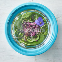 Side view of Frigoverre Future 17.25 oz. Round Food Storage Container (Set of 12)