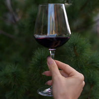 Side view of InAlto Uno 18.75 oz. Large Red Wine Glasses (Set of 6)