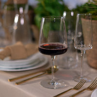 Side view of Planeo 16 oz. Red Wine Glasses (Set of 4)