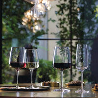 Side view of Planeo 18.75 oz. Mature Red Wine Glasses (Set of 4)