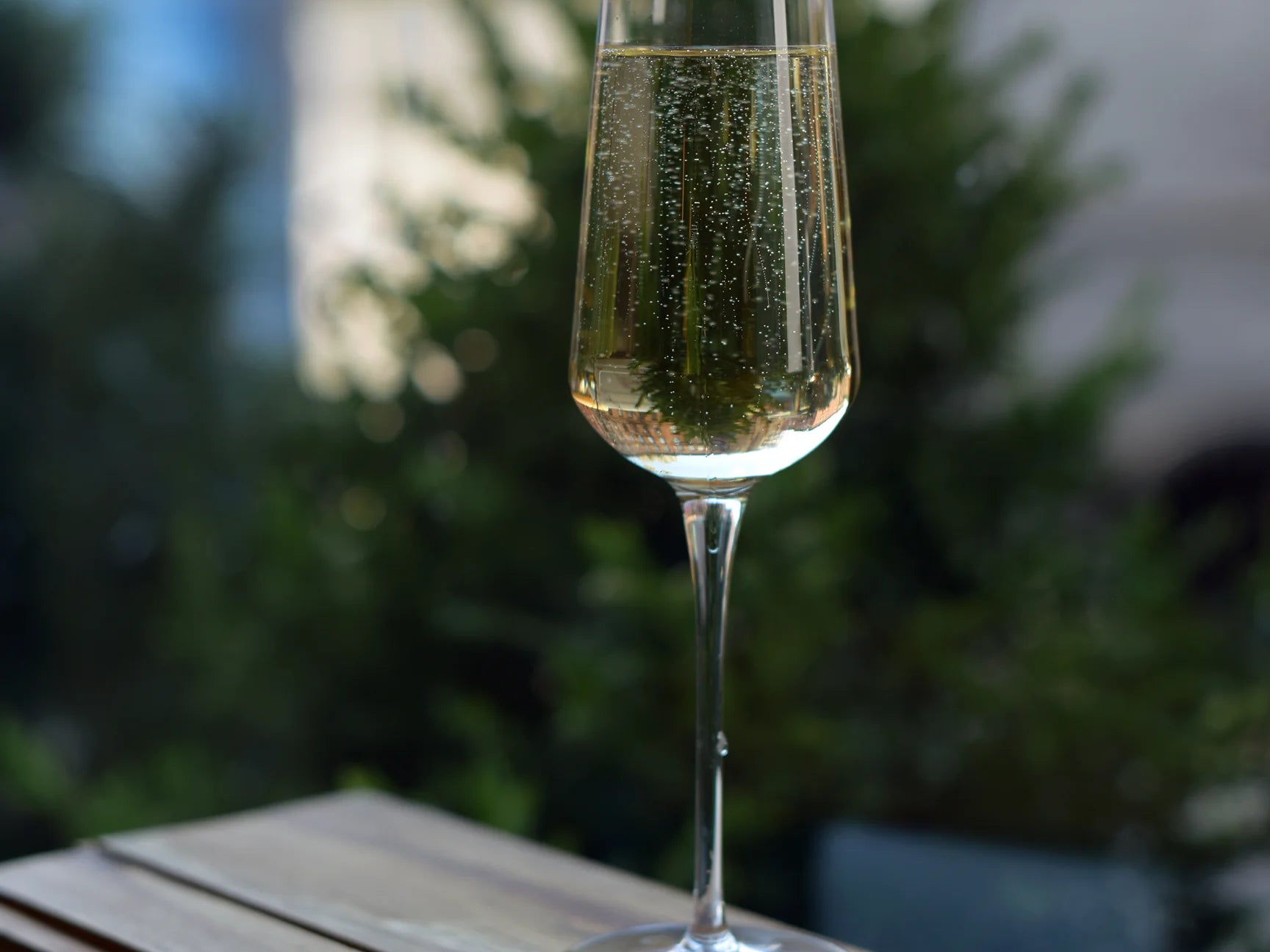 Wines of the World: Exploring Global Flavors for the Holidays