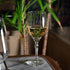 Bormioli Rocco Florian 12.8 oz. White Wine / Spritz Glasses (Set of 4)