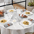Bormioli Rocco Parma 10.75" Opal Glass Dinner Plate (Set of 24)