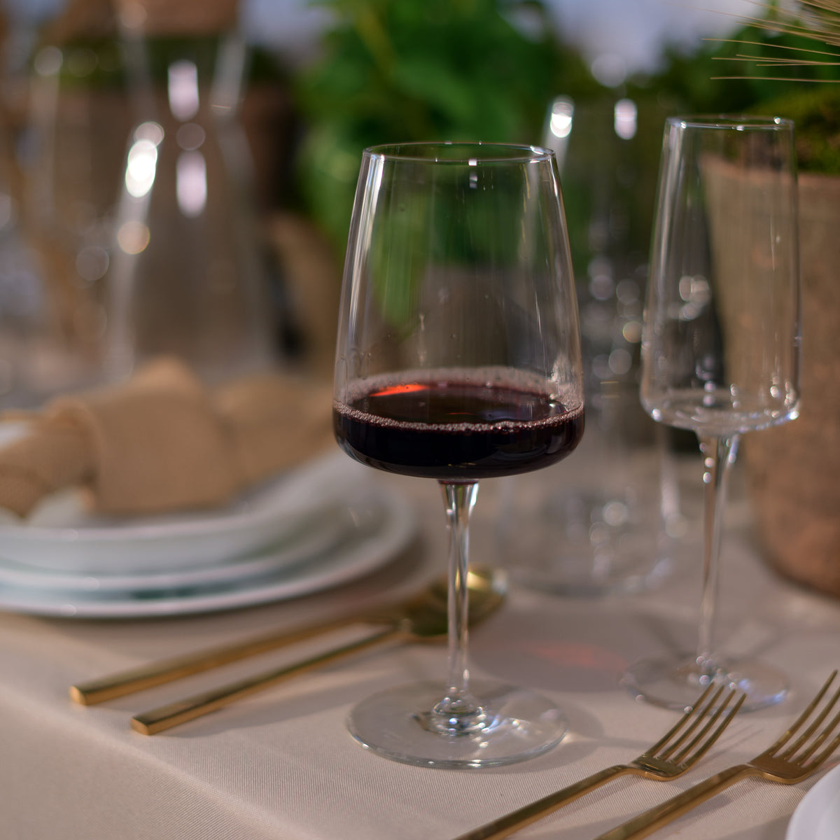 Bormioli Rocco Planeo 18.75 oz. Mature Red Wine Glasses (Set of 4)