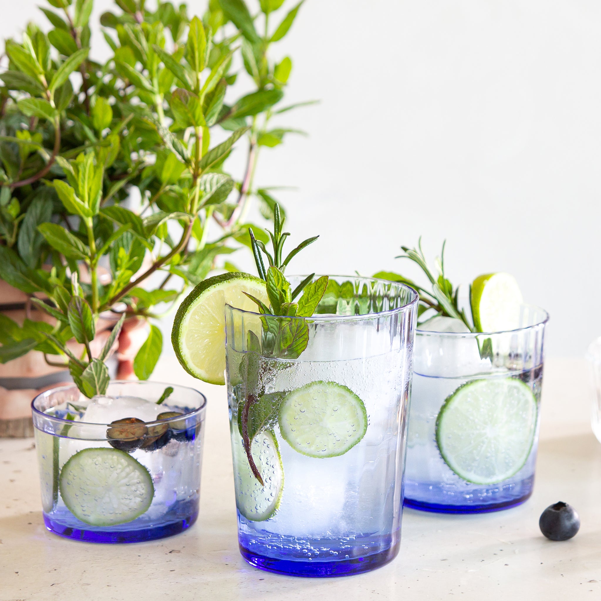 Exclusiva Sapphire Blue Collection lifestyle